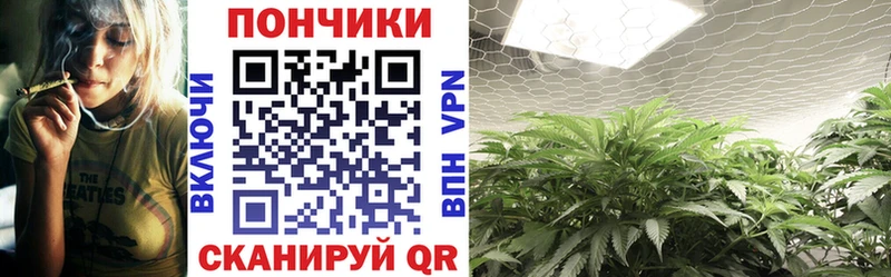 Все наркотики Вытегра А ПВП  Псилоцибиновые грибы  Марихуана  blacksprut как войти  Гашиш 