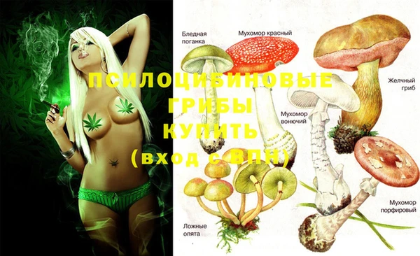 крисы Белокуриха