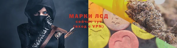 крисы Дмитриев