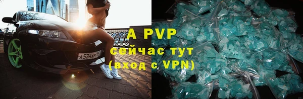 крисы Белокуриха